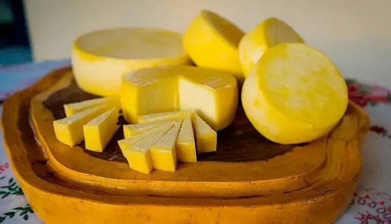 Queijo Colonial do Sudoeste do Paraná ganha Indicação Geográfica