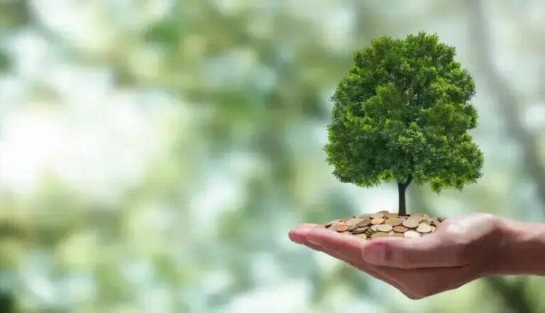 Território Carbono Neutro: Iniciativa Verde se Expande pelo Brasil