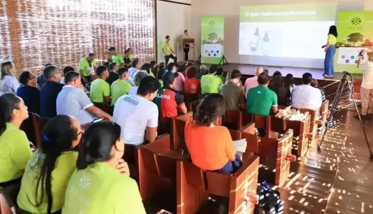 Oka Hub: Incubadora de Startups Fomenta Bioeconomia na Amazônia