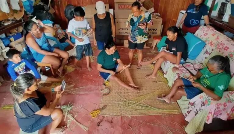 Como o empreendedorismo sustentável na Amazônia transforma comunidades