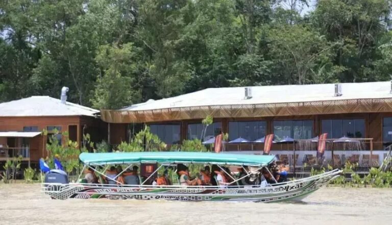 Descubra a Rota Combu: Empreendedorismo e Ecoturismo na Amazônia