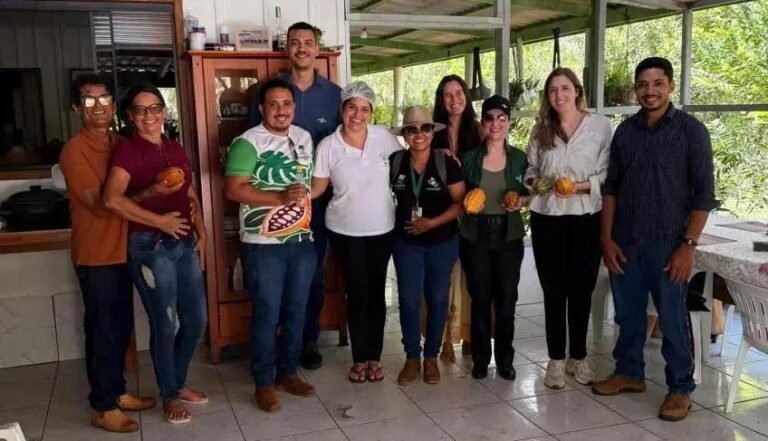 Como o Sebrae Está Impulsionando os Produtores de Cacau em Rondônia