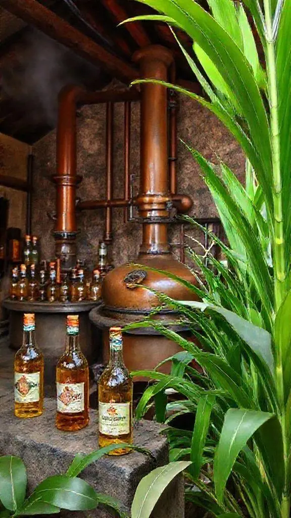 Cachaça, a bebida brasileira, ganha destaque com 150 Indicações Geográficas