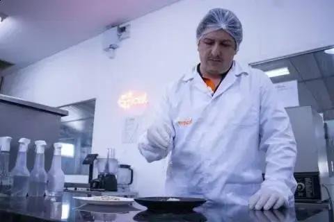 Startup Typcal recebe investimento para inovar no mercado de proteínas alternativas