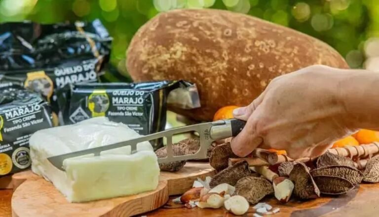 Celebrando a Excelência do Queijo Artesanal Brasileiro no Dia Mundial do Queijo