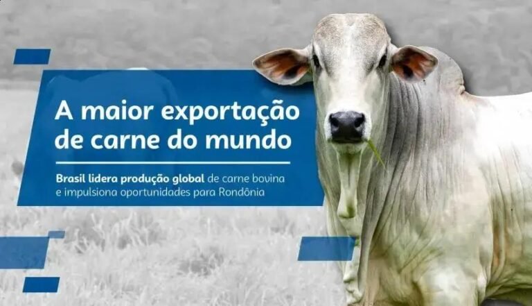 Rondônia avança na pecuária com apoio do Sebrae e novas tecnologias