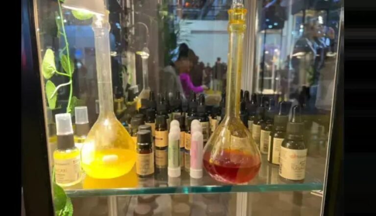 O potencial dos mercados de beleza e saúde em Santa Catarina